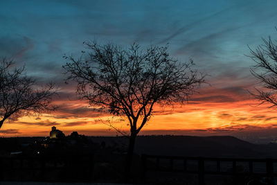 Silhouette bare tree against orange sky