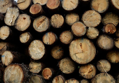 Full frame shot of logs