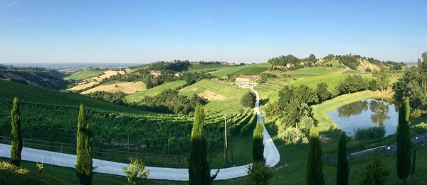 Panoramic shot of trees on field against sky