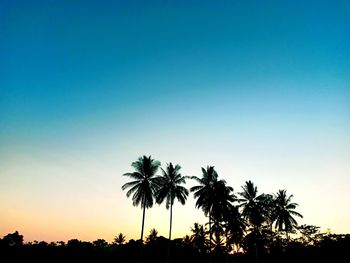 Silhouette palm trees against sky during sunset
