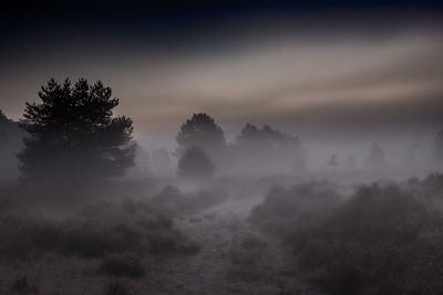 Scenic view of trees against sky during foggy weather