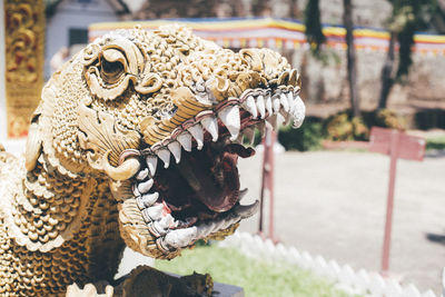 Close-up of a statue