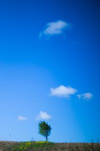 Scenic view of landscape against cloudy sky