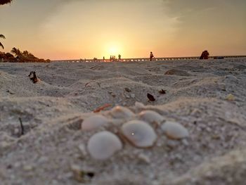 Surface level of beach against sky during sunset