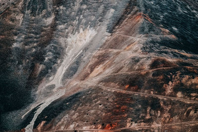 Full frame shot of rocks in forest