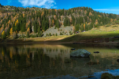 Scenic view of lake by trees against sky