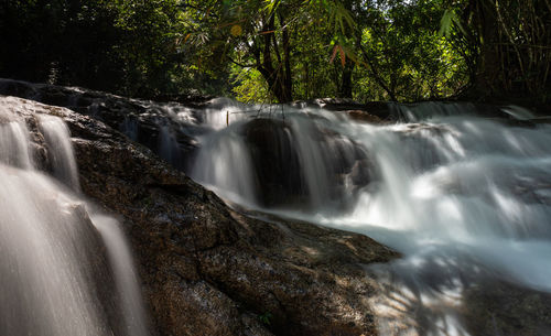 Scenic view of waterfall in forest