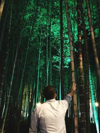 Rear view of man sitting on bamboo trees in forest
