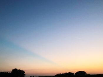 Low angle view of silhouette trees against clear sky during sunset