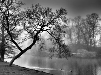 Bare tree by lake against sky