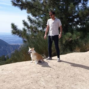 Full length of man by dog on hill during sunny day