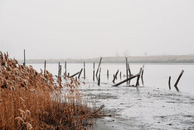 Scenic view of sea against clear sky