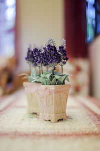 Close-up of flower pot on table at home