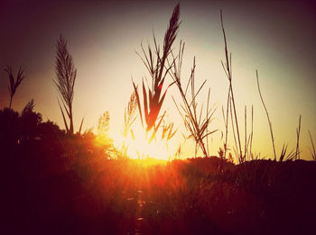 sun