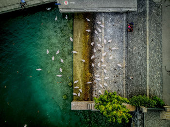 Scenic view of water