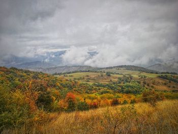 Scenic view of field against sky