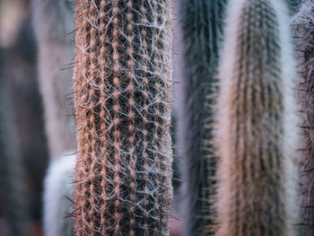 Full frame shot of ropes