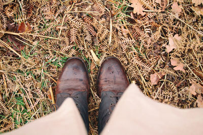 Low section of man standing on grass