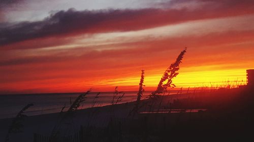 Scenic view of sea against orange sky