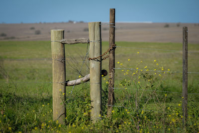 Barbed wire fence on field