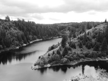 Scenic view of lake in forest against sky