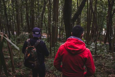 Man standing on tree trunk in forest