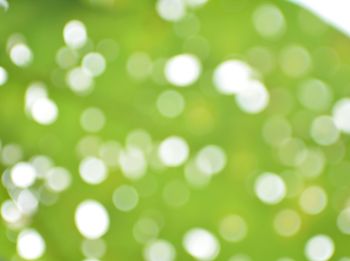 Defocused image of illuminated lights