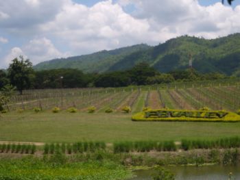 Scenic view of field against cloudy sky