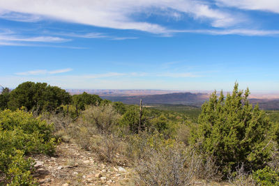 Scenic view of landscape against sky