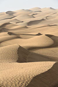 Sand dunes in desert against sky