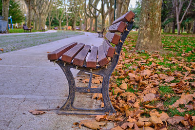 Bench in park during autumn