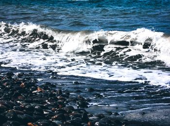 Scenic view of sea shore