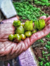 Close-up of hand holding fruit