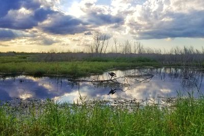 Scenic view of lake against sky