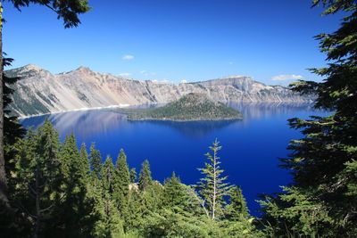 Panoramic view of forest against clear blue sky