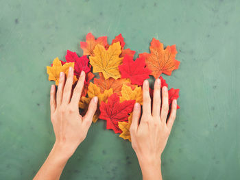 High angle view of hands holding multi colored wall