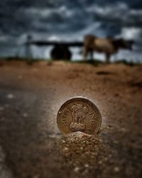 Close-up of coin on the land