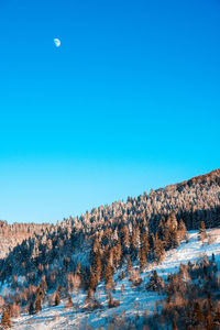 Aerial view of townscape against clear sky