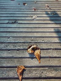 High angle view of snake on footpath