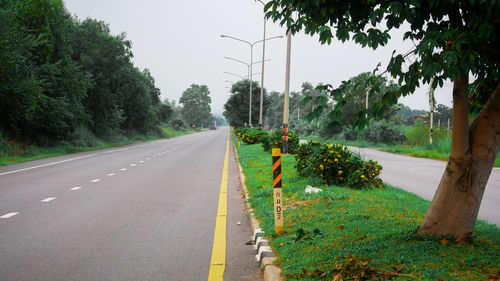 Road by trees against sky