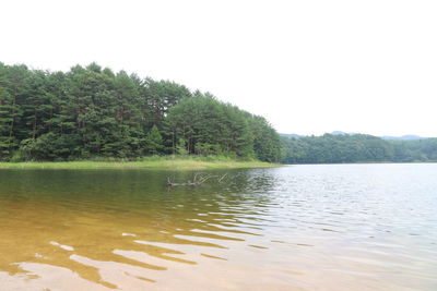 Scenic view of lake against clear sky