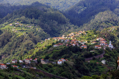 High angle view of buildings and trees in city