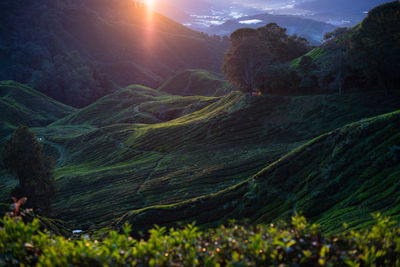 Scenic view of landscape against sky