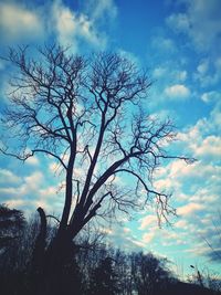 Low angle view of silhouette bare tree against sky