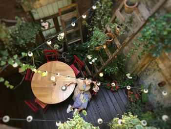 High angle view of woman sitting with coffee at table in back yard