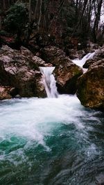 Scenic view of waterfall in forest