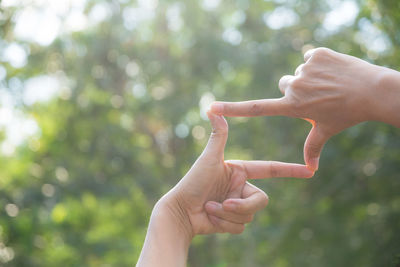 Cropped image of hands making frame against trees