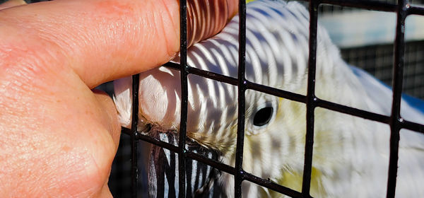 close-up