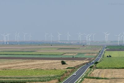 Windmills on field against sky