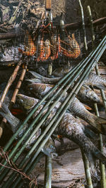 High angle view of food at night